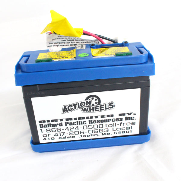 Replacement 12 Volt Battery